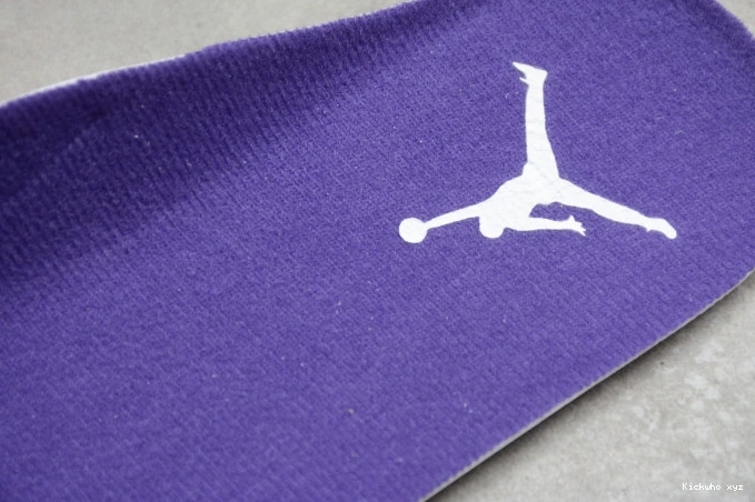 Court Purple 4 CT8527-115 Jordan Air 0811